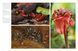 Snakes: From Vipers to Boa Constrictors F012754 фото 4