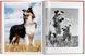 Walter Chandoha. Dogs. Photographs 1941–1991 F000236 фото 4