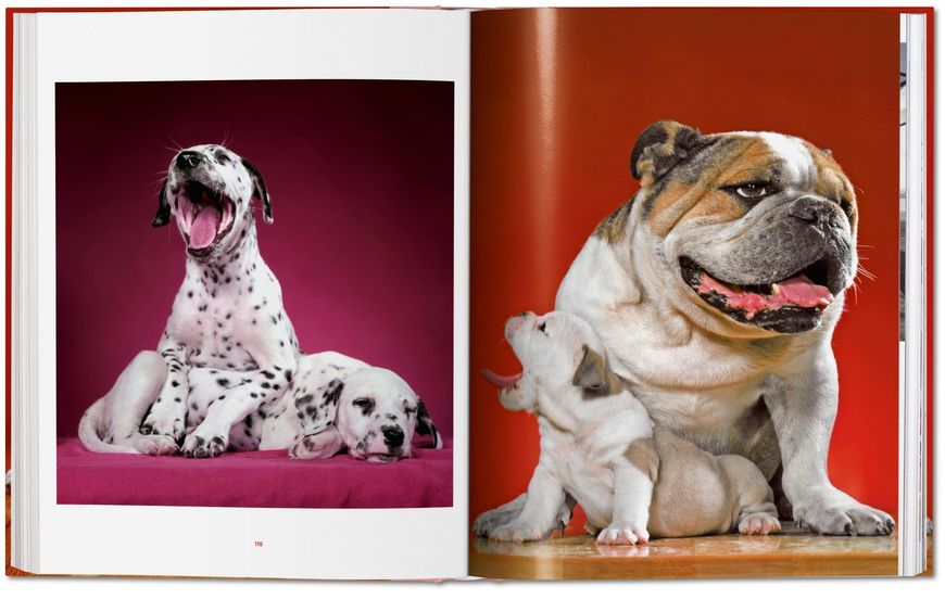 Walter Chandoha. Dogs. Photographs 1941–1991 F000236 фото
