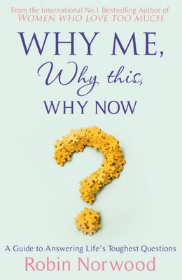 Why Me, Why This, Why Now? A Guide to Answering Life's Toughest Questions F012606 фото