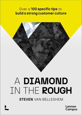 A Diamond in the Rough. Over a 100 Specific Tips to Build a Strong Customer Culture F011822 фото