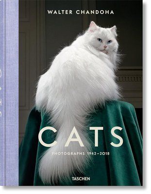 Cats: Photographs 1942 - 2018 F014855 фото