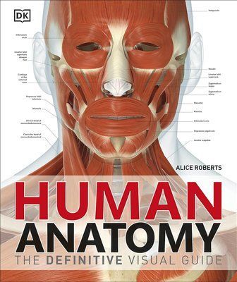 Human Anatomy F009365 фото