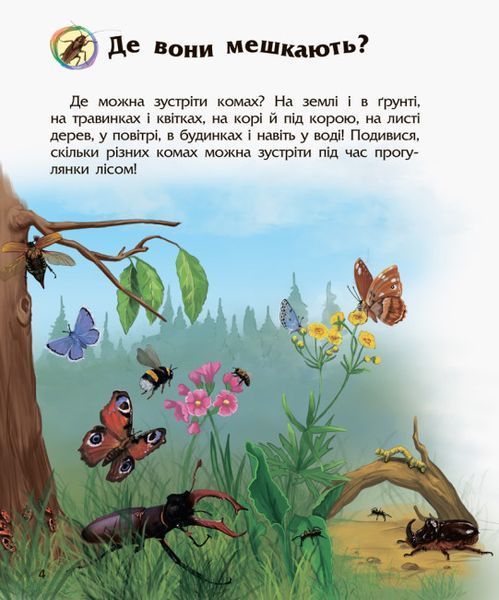 Комахи. Енциклопедія дошкільника F008026 фото