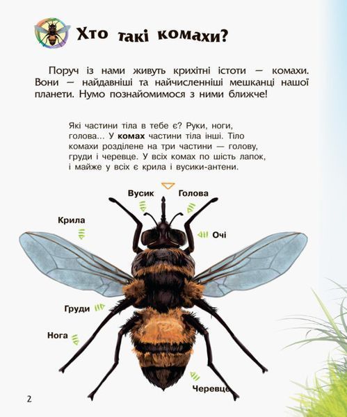 Комахи. Енциклопедія дошкільника F008026 фото
