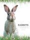 Rabbits: From Hares and Jackrabbits to Adorable Pets F012756 фото 1