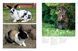Rabbits: From Hares and Jackrabbits to Adorable Pets F012756 фото 6