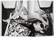 Kate Moss by Mario Testino F010436 фото 6