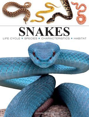 Snakes F014016 фото