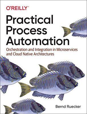Practical Process Automation: Orchestration and Integration in Microservices and Cloud Native Architectures F003473 фото
