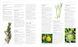 Encyclopedia of Herbal Medicine. New Edition F011774 фото 4
