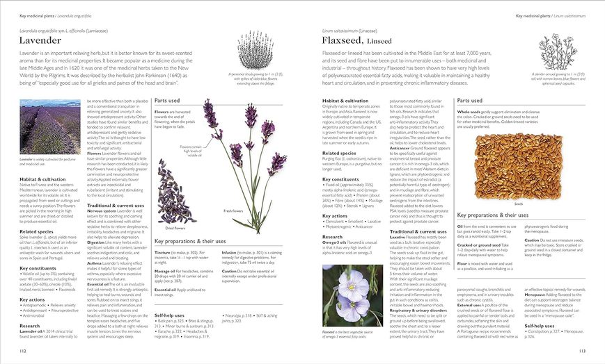 Encyclopedia of Herbal Medicine. New Edition F011774 фото