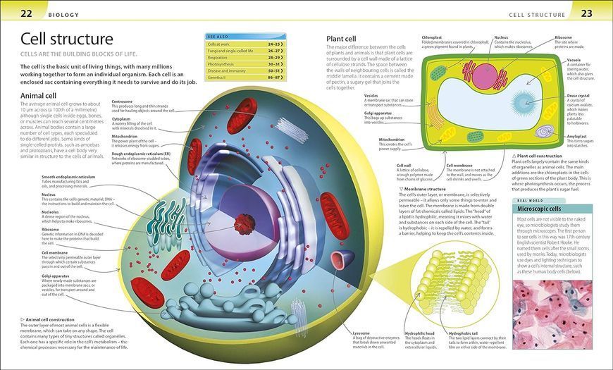 Help Your Kids With Science F011210 фото