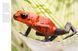 Dangerous Animals: The World's Most Deadly Creatures F012758 фото 7