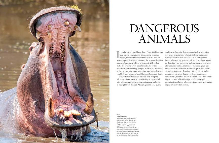 Dangerous Animals: The World's Most Deadly Creatures F012758 фото Dangerous Animals: The World's Most Deadly Creatures F012758 фото