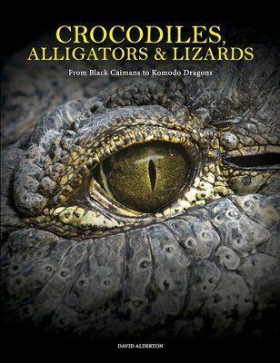 Crocodiles, Alligators & Lizards: From Black Caimans to Komodo Dragons F013968 фото