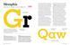 The Evolution of Type: A Graphic Guide to 100 Landmark Typefaces F001194 фото 2