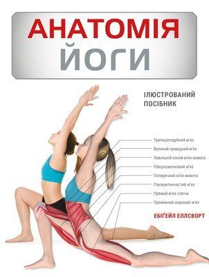 Анатомія йоги. Ілюстрований посібник Ебіґейл Еллсворт F015504 фото