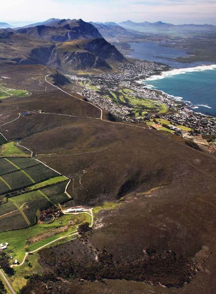 150 Vineyards You Need to Visit Before You Die F011828 фото