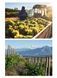 150 Vineyards You Need to Visit Before You Die F011828 фото 17