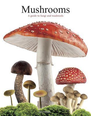 Mushrooms: A Guide to Fungi and Toadstools F013976 фото