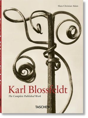 Karl Blossfeldt: The Complete Published Work F014071 фото