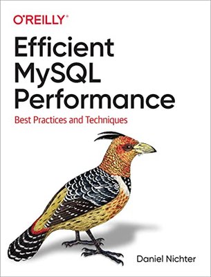 Efficient MySQL Performance: Best Practices and Techniques F003220 фото