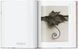Karl Blossfeldt: The Complete Published Work F014071 фото 3