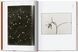 Karl Blossfeldt: The Complete Published Work F014071 фото 6