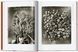 Karl Blossfeldt: The Complete Published Work F014071 фото 9