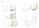 Fashion Illustration and Design: Accessories: Shoes, Bags, Hats, Belts, Gloves, and Glasses F001502 фото 9