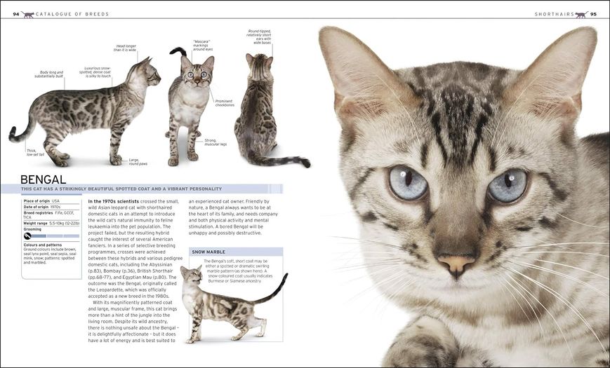 The Complete Cat Breed Book F009927 фото
