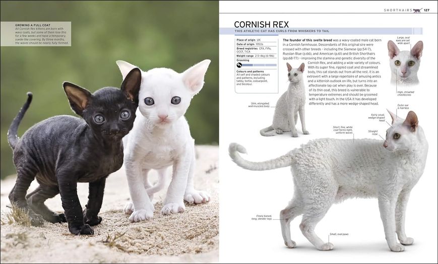 The Complete Cat Breed Book F009927 фото