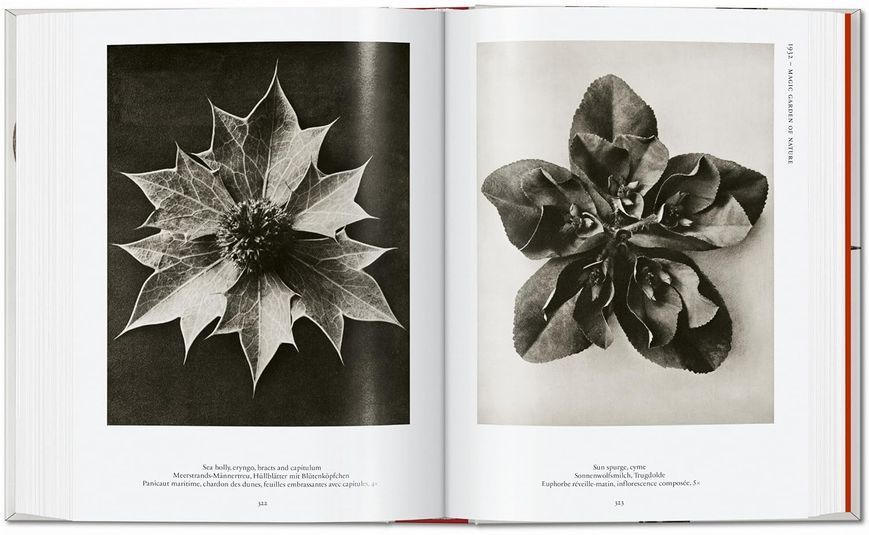 Karl Blossfeldt: The Complete Published Work F014071 фото