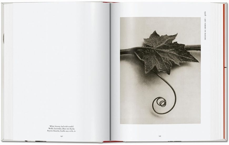 Karl Blossfeldt: The Complete Published Work F014071 фото