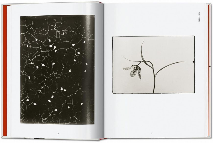 Karl Blossfeldt: The Complete Published Work F014071 фото