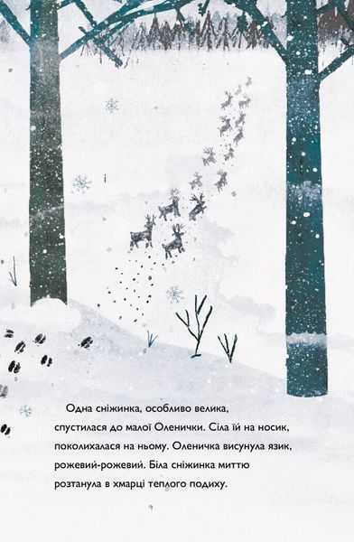 Оленичка і Малинівка F014918 фото