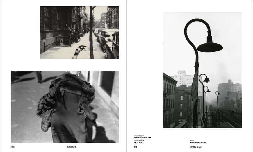 Saul Leiter. The Centennial Retrospective F011469 фото