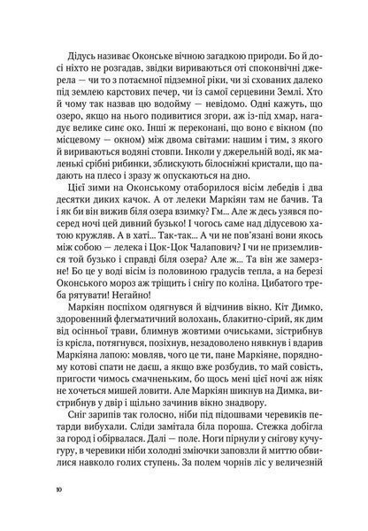 Роденія, або Подорож за веселку (Garage sale) F005051gs фото