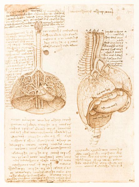 Leonardo Da Vinci and Anatomy. The Mechanics of Life F010919 фото