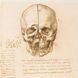Leonardo Da Vinci and Anatomy. The Mechanics of Life F010919 фото 3