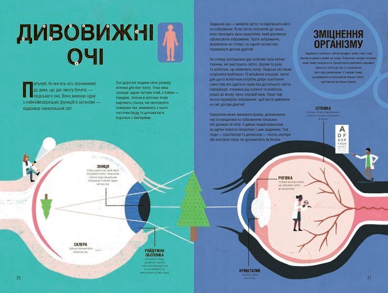 Неймовірна пригода. Бути людиною. Твоє надзвичайне тіло та як у ньому жити F008039 фото